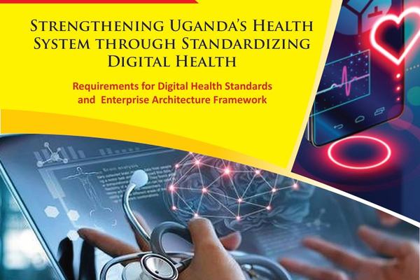 Requirements for Digital Health Standards and Enterprise Architecture Framework